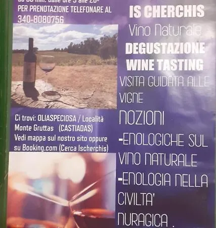 Ischerchis Con Piscina Castiadas Costa Rey * Olìa Speciosa
